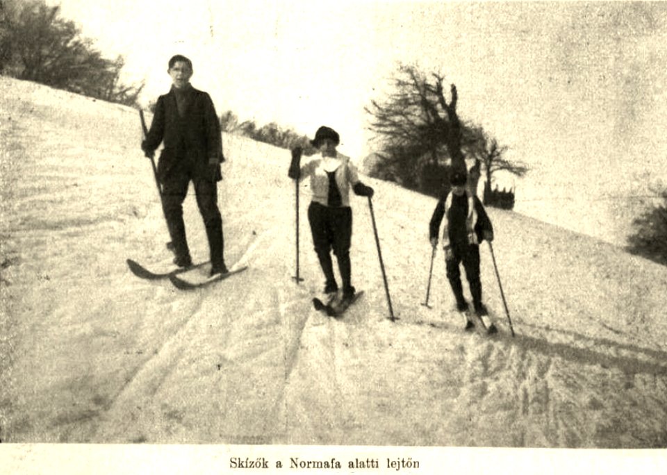 Skízők a Normafa alatti lejtőn Vasárnapi Ujság 1914. 6.szám