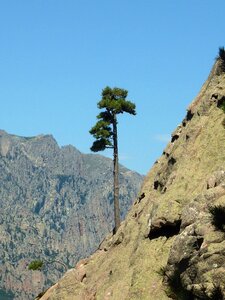 Mountain corsican nature photo