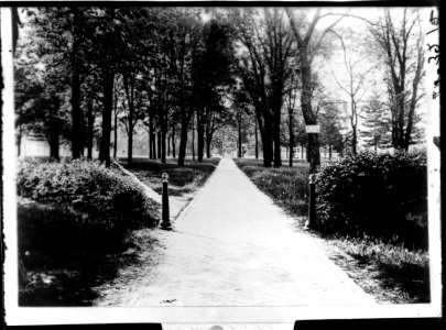 Slant Walk ca. 1899 (3194672215) photo