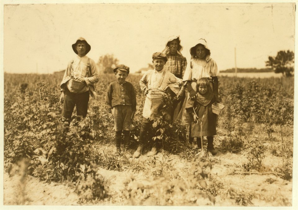 Slebzak family (Polish) working on Bot(t)omley farm, near Baltimore, Md. They have worked here 3 years and one winter at Avery Island, Louisiana. All work except the very smallest. She hangs LOC nclc.00011