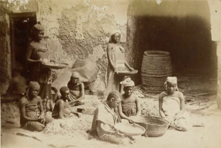 Slaves sifting root of Samoa plant RMG E9141