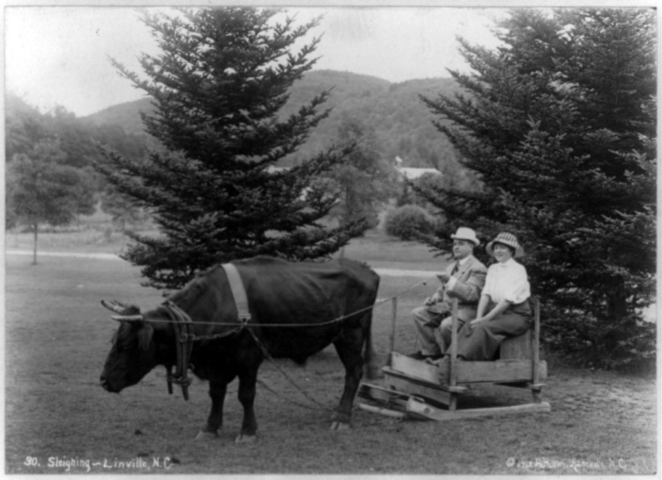 Sleighing - Linville, N.C. LCCN2002714621