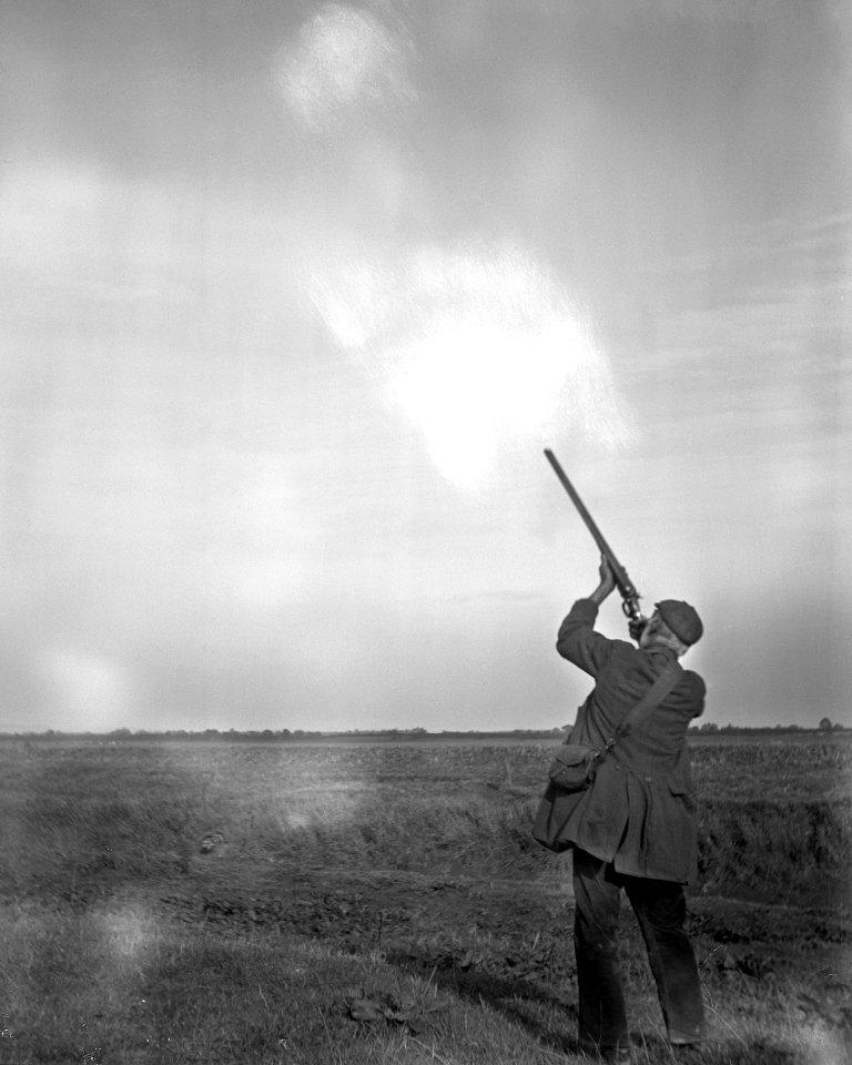 Slights shooting apples thrown YORYM-S35