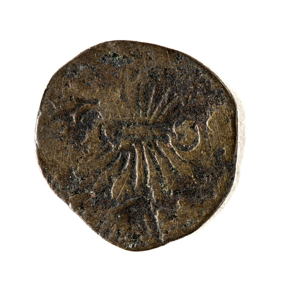 Slitet mynt, Frisia, 1623 - Skoklosters slott - 109451