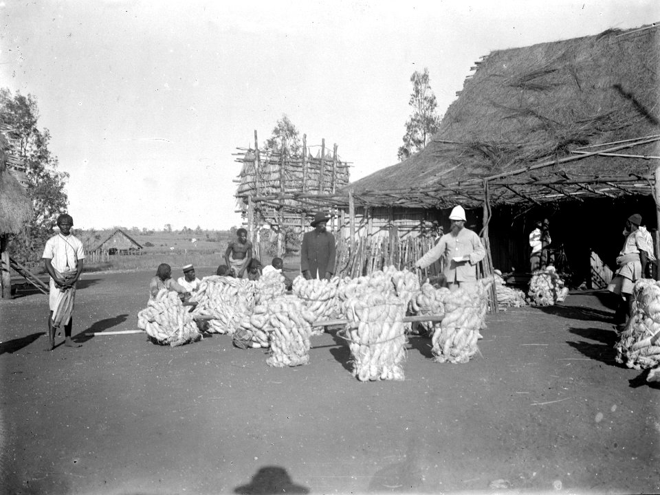 Sluszanski köper raffiabast av infödingar. S-te Marie de Marovoay. Madagaskar - SMVK - 021867