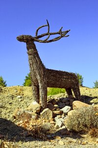 Animal decoration art