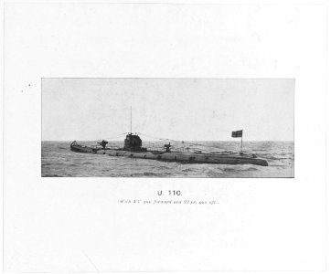 SM U-110 (submarine, 1917) - NH 2092