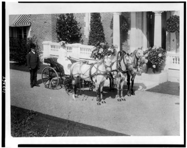 Small carriage drawn by three horses) - photo by H.L. Bradley, Bar Harbor LCCN91730175
