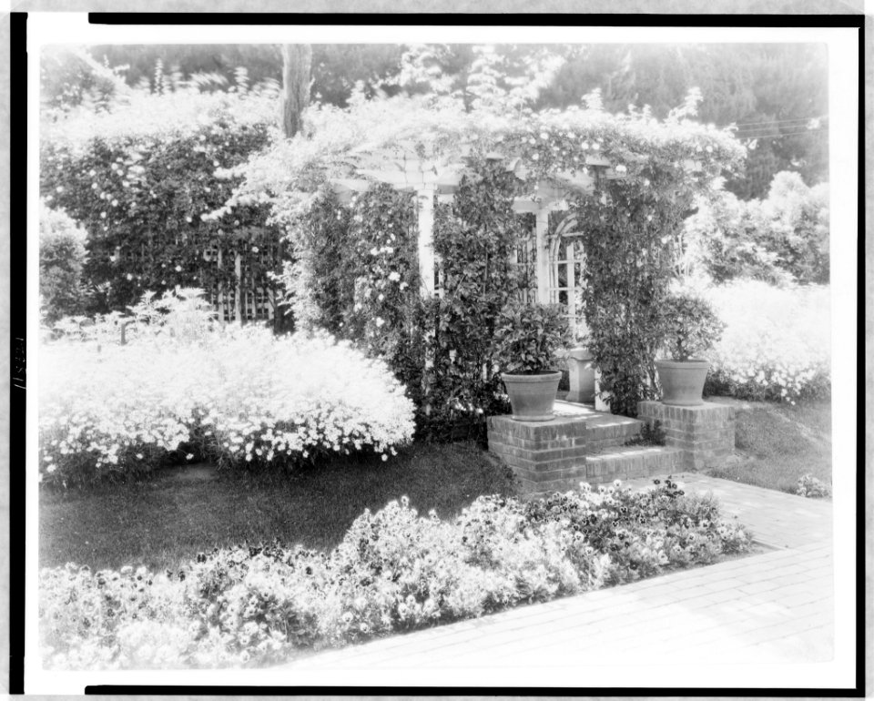 Small arbor covered with roses, with daisies and pansies on banks, on estate of Mrs. Walter C. McKeon, Pasadena, California LCCN97508769