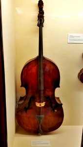Small double bass converted to a violone, France, late 1800s, maple, spruce - Casadesus Collection of Historic Musical Instruments - Boston Symphony Orchestra - 20190927 110736 photo