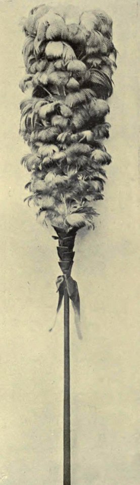 Small Kahili, Memoirs Bishop Museum, Vol. I, Plate IV