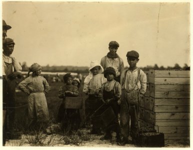 Smallest girl is Rosie. Carries cranberries. Whites Bog, Brown Mills, N.J. This is the fourth week of school in Philadelphia, and the people here expect to remain here two weeks more. Sept. LOC nclc.05297