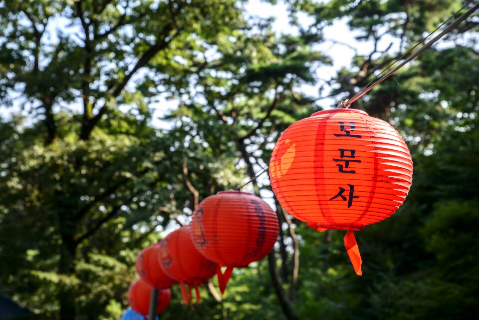 Light bomunsa temple