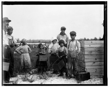 Smallest girl is Rosie. Carries cranberries. Whites Bog, Brown Mills, N.J. This is the fourth week of school in Philadelphia, and the people here expect to remain here two weeks more. Sept. LOC nclc.05297