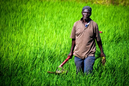 Smallholder Farmer (23711349823)