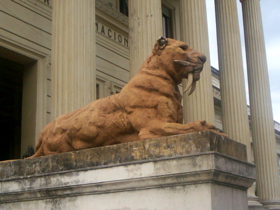 Smilodon Museo de La Plata