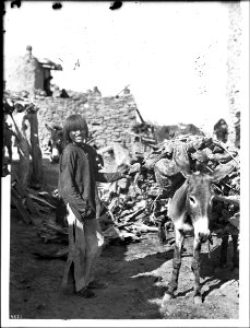 Smiling Hopi Indian boy and his burro hauling wood, Arizona, ca.1898 (CHS-4571)