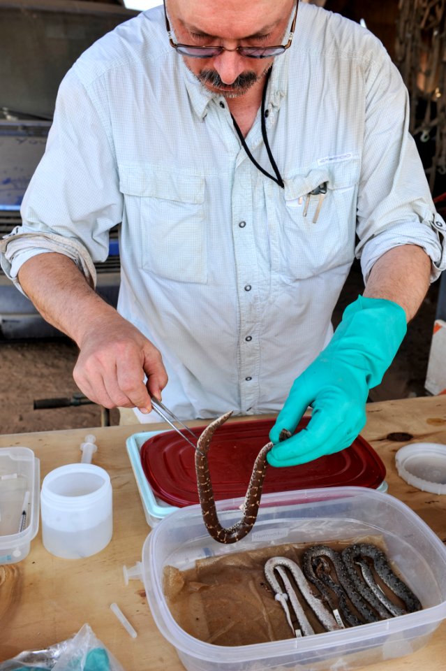 Smithsonian biodiversity study 140508-N-LE393-052