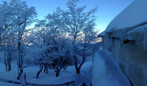 Trees house sky