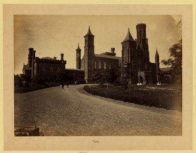 Smithsonian Institution, Wash., D.C. LCCN2004680128
