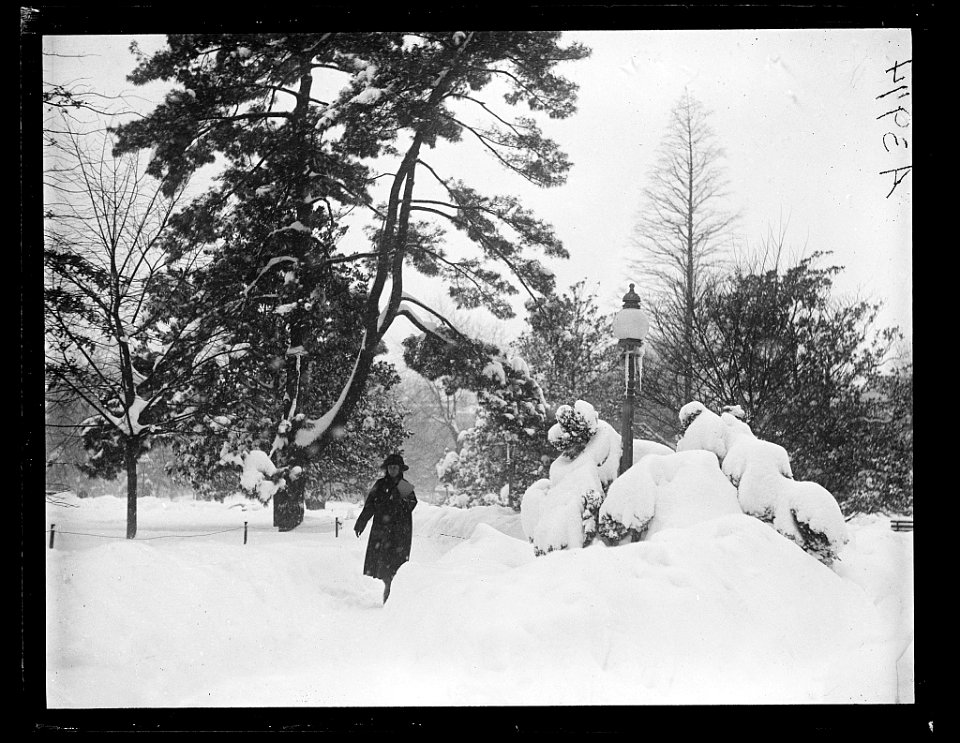 Snow, Washington, D.C. LCCN2016891172