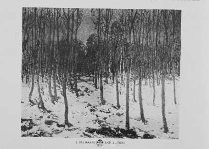 Sníh v lesíku-Josef Ullmann