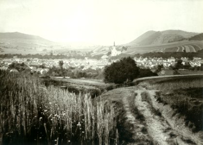 Sochan (10)