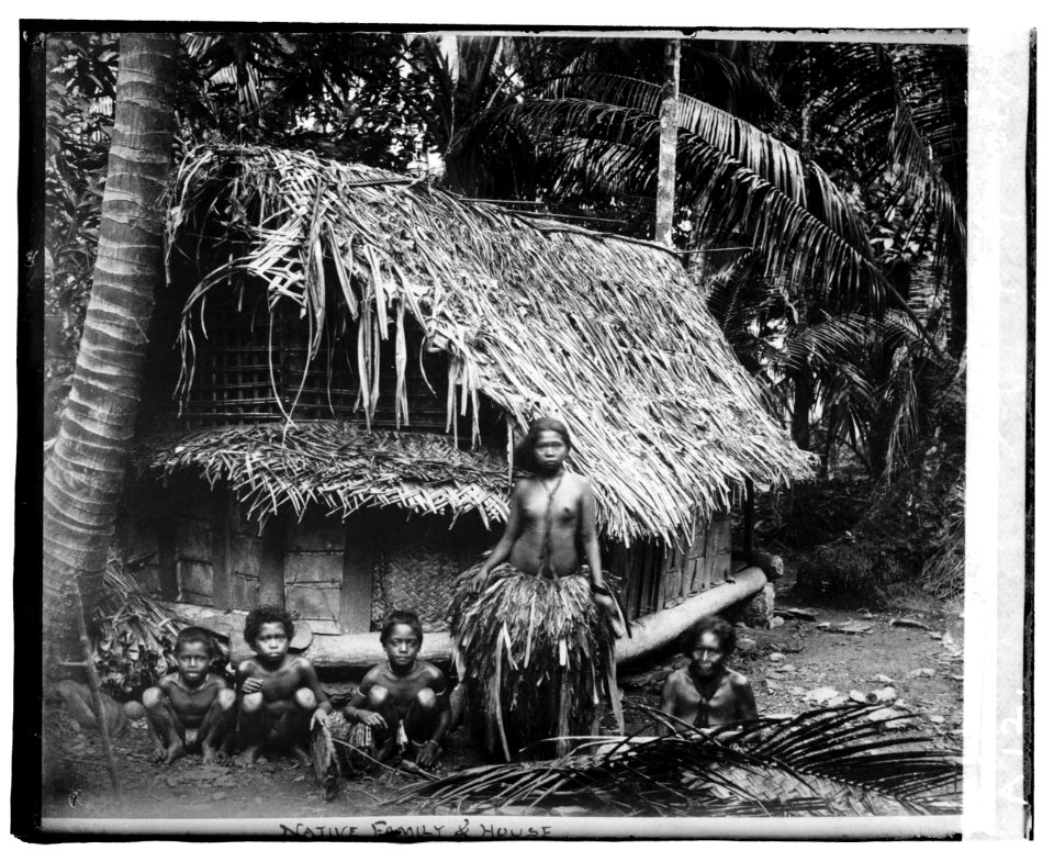 So. Sea Islands, native family & house LCCN2016819553