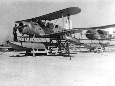 SOC-3 Seagulls of VO-2B at San Diego in 1938 photo