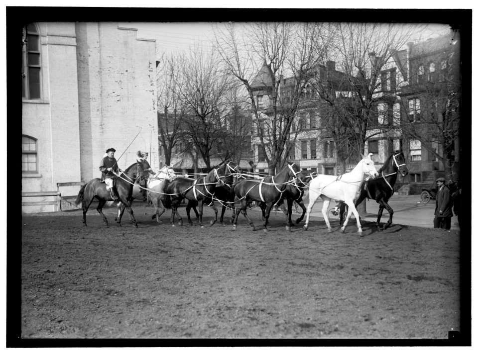 SOCIETY CIRCUS LOC hec.07580