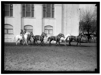 SOCIETY CIRCUS LOC hec.07585