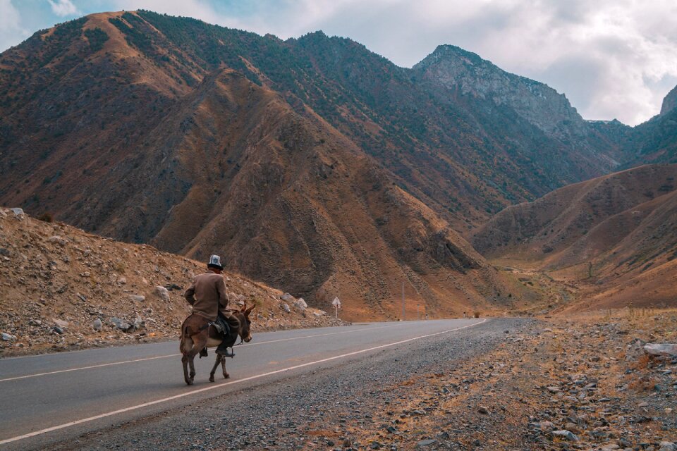 Man horse landscape