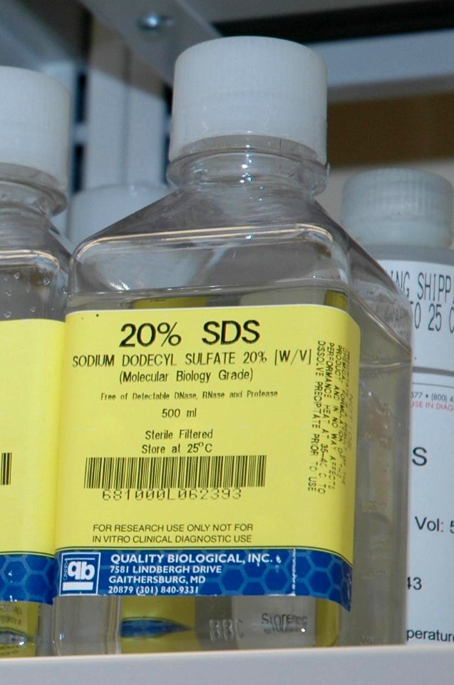 Sodium dodecyl sulfate