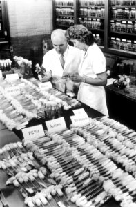 Soil microbe library