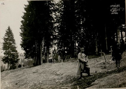 Soldarenfriedhof, Oporzec. (BildID 15517221)