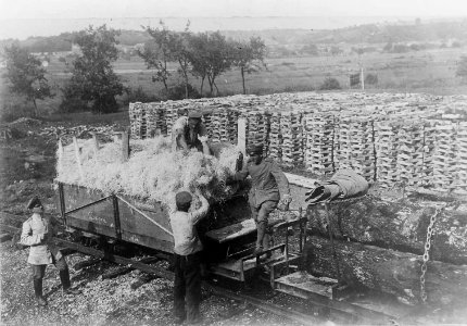 Soldaten beim Beladen eines Waggons der Argonnenbahn mit Holzwolle (wohl bei Lançon) - Landesarchiv Baden-Wuerttemberg Staatsarchiv Sigmaringen N 1-68 Nr. 1678 Bild 1 (6-113905-1)