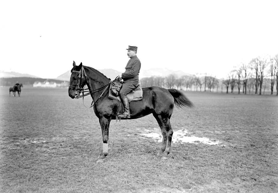 Soldat zu Pferd - CH-BAR - 3237941