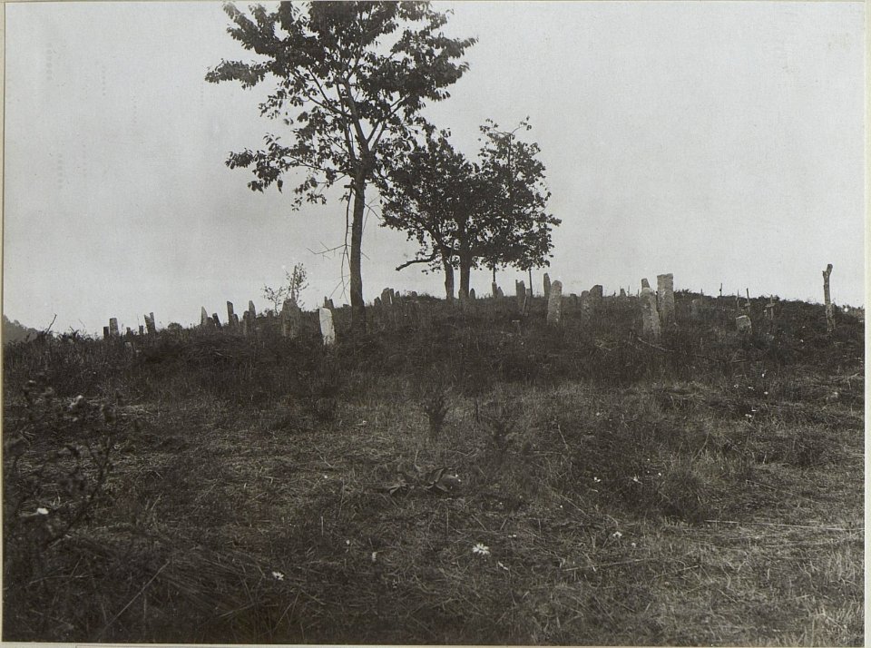 Soldatenfriedhof auf Kote 787 Aufgenommen von Nordosten (BildID 15660830)