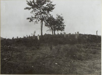 Soldatenfriedhof auf Kote 787 Aufgenommen von Nordosten (BildID 15660830)