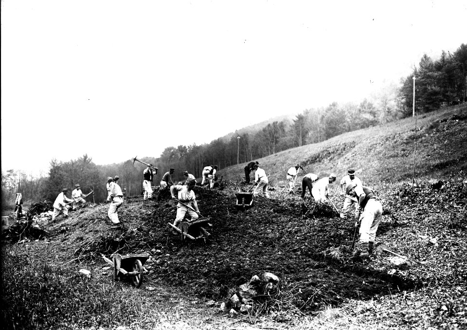 Soldaten räumen Steine und Wurzeln aus einem gerodeten Waldstück - CH-BAR - 3241218