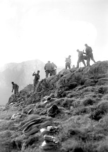Soldaten beim Wegebau - CH-BAR - 3239259