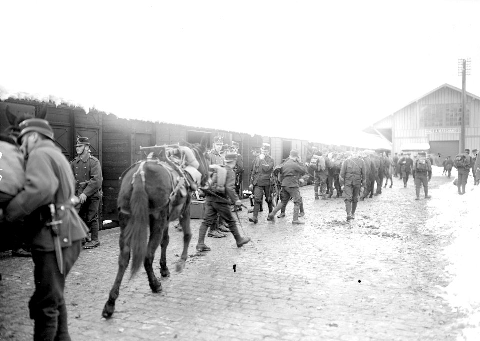 Soldaten und Basttiere bereit für den Verlad auf die Eisenbahn - CH-BAR - 3239428