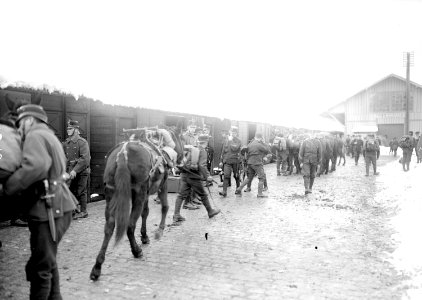 Soldaten und Basttiere bereit für den Verlad auf die Eisenbahn - CH-BAR - 3239428