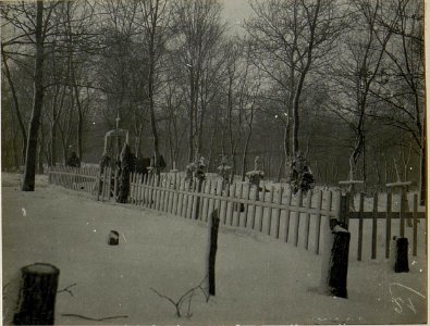 Soldatenfriedhof in Burkanow. (BildID 15523240)