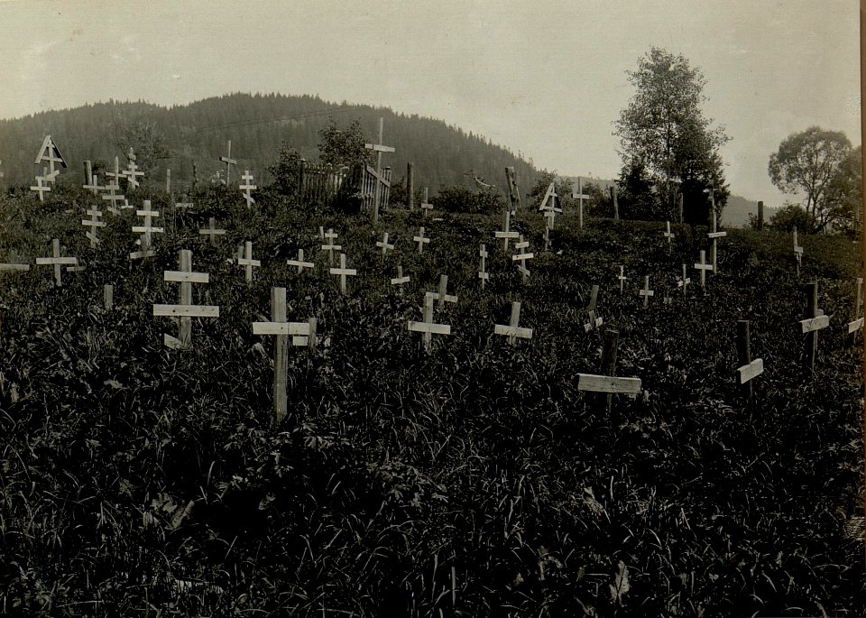 Soldatenfriedhof in Koziowa (BildID 15525146)