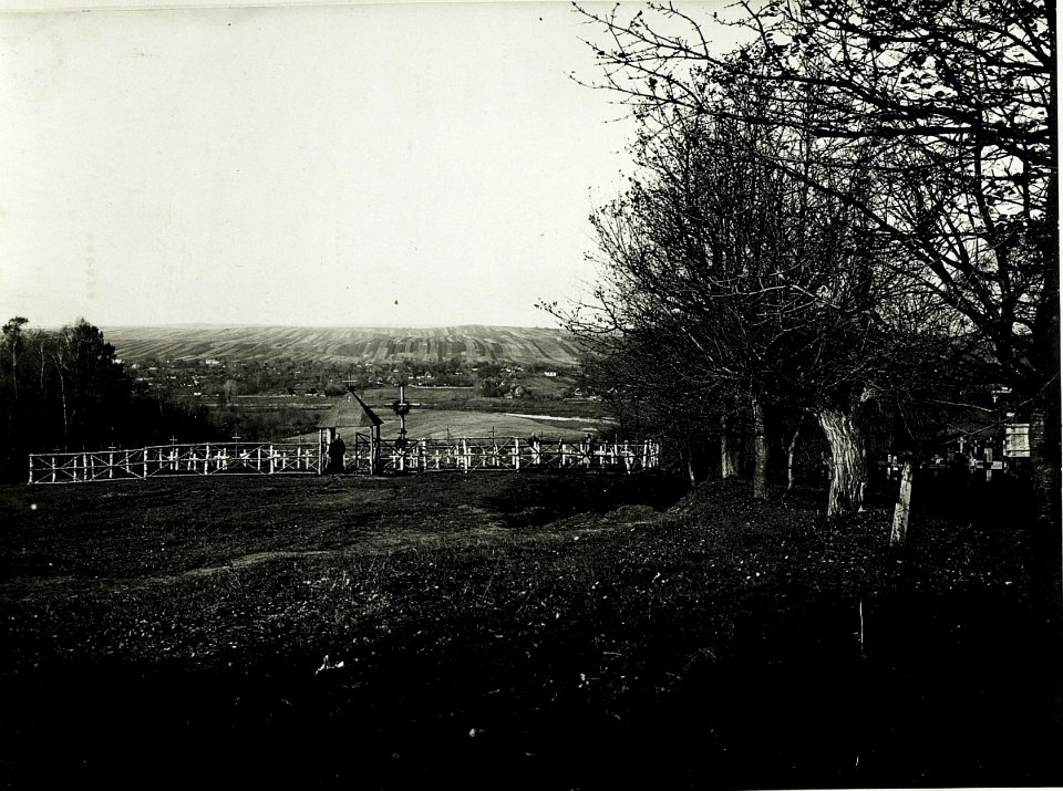 Soldatenfriedhof südlich Halicz. (BildID 15591468)