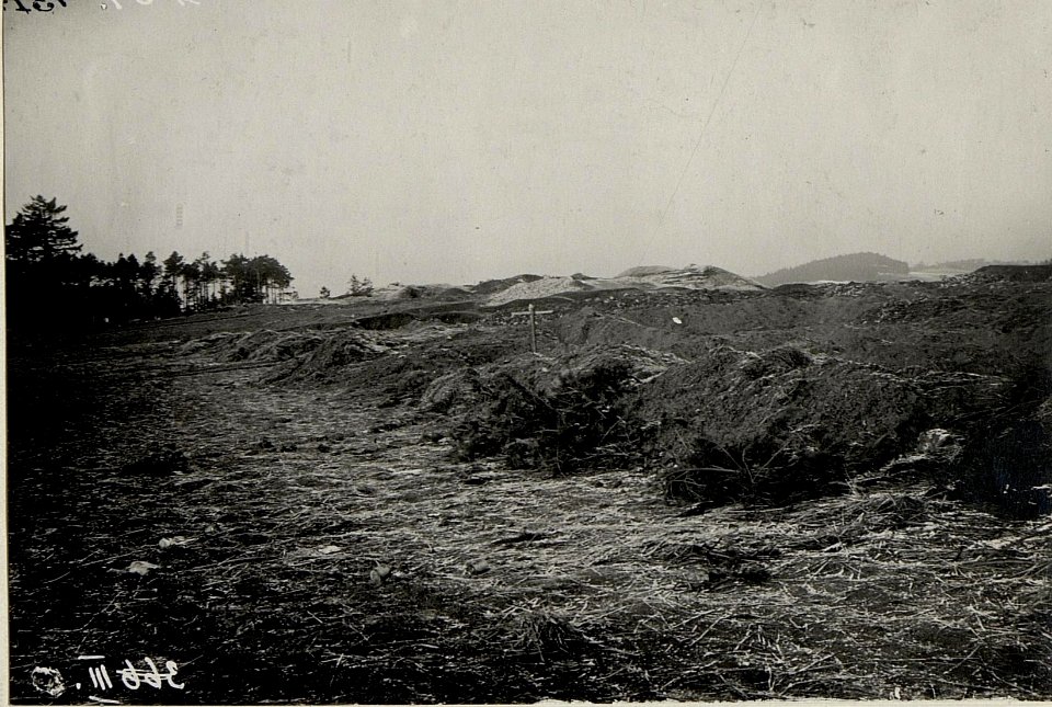 Soldatengräber und Positionsgräben bei der Waldparcelle westlich von Strzegowa. (BildID 15538410)