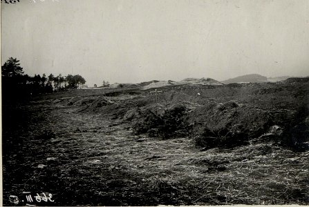 Soldatengräber und Positionsgräben bei der Waldparcelle westlich von Strzegowa. (BildID 15538410)