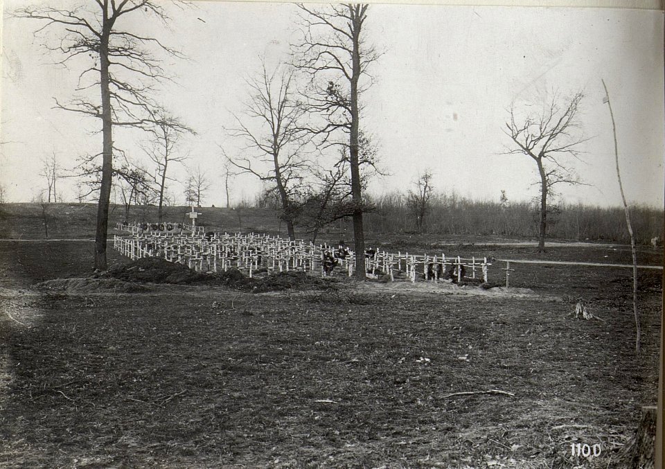 Soldatenfriedhof im Abschnitt der 4. k.u.k. Armee (BildID 15684661)
