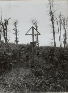 Soldatengräber auf derJagodnja, Bataillon 80. (BildID 15660767)